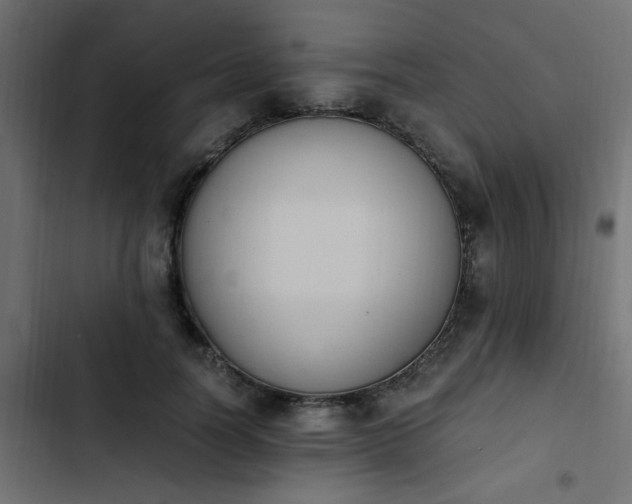 X0000103940746200809261725