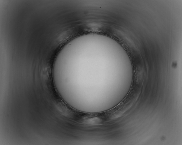 X0000103940747200809261725