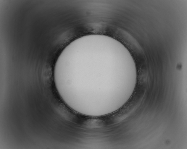 X0000103940748200809261725