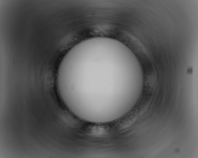 X0000103940751200809261725