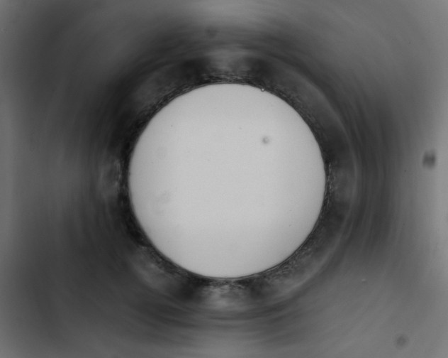 X0000103940752200809261725