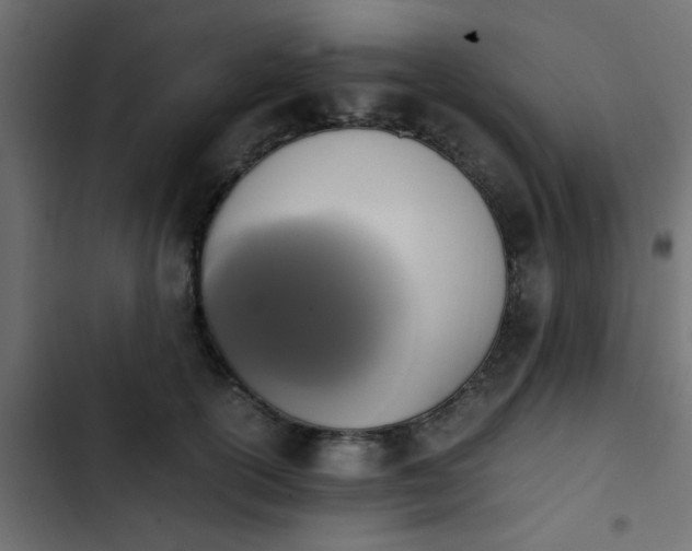 X0000103940754200809261725