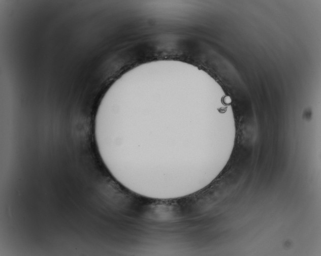 X0000103940756200809261725