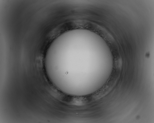 X0000103940757200809261725