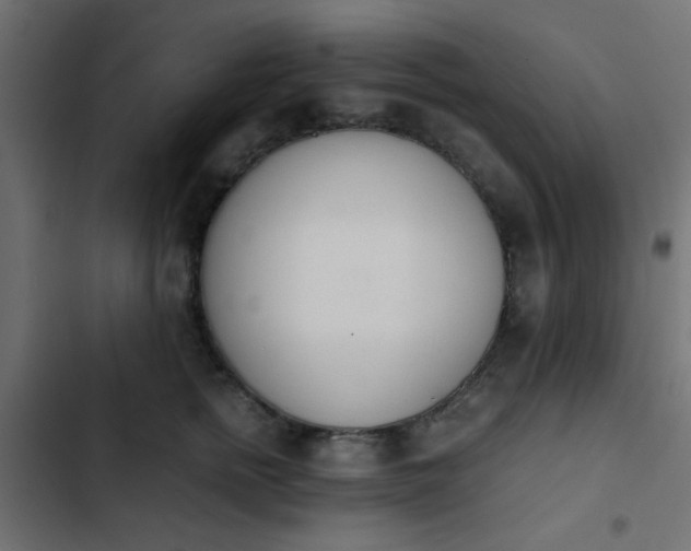 X0000103940758200809261725