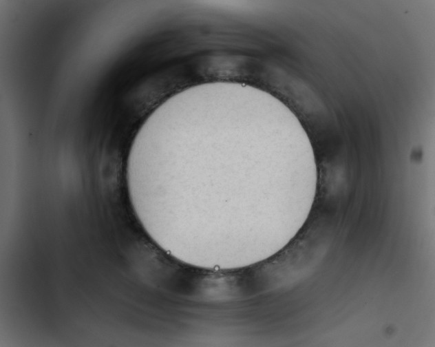 X0000103940760200809261725