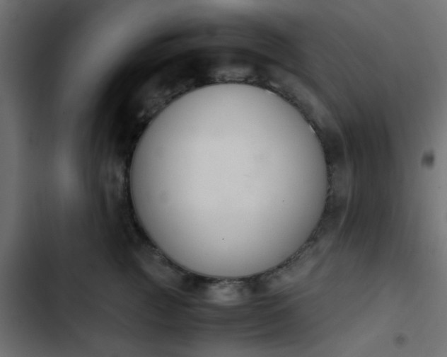 X0000103940761200809261725