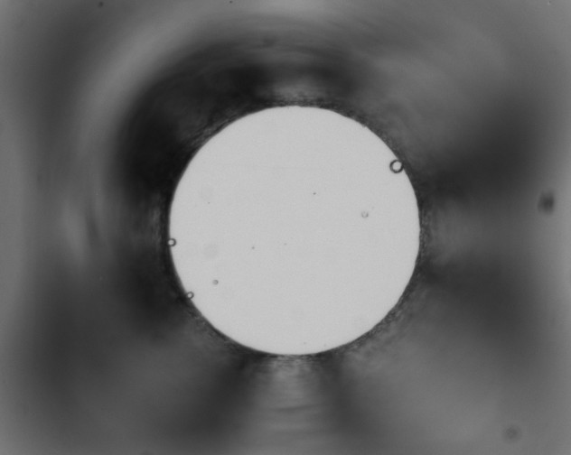 X0000103940762200809261725