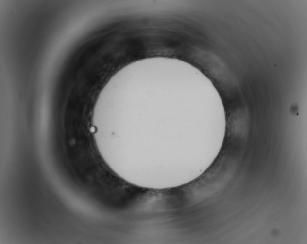 X0000103940764200809261725