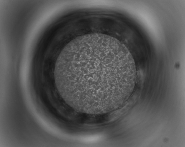 X0000103940765200809261725