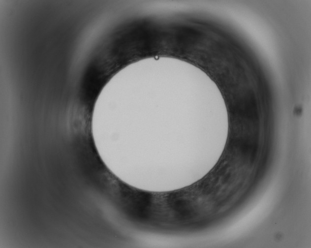 X0000103940766200809261725