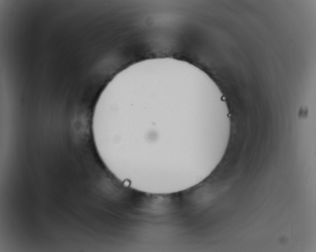 X0000103940768200809261725