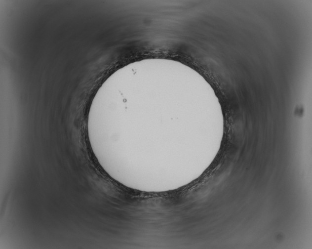 X0000103940769200809261724