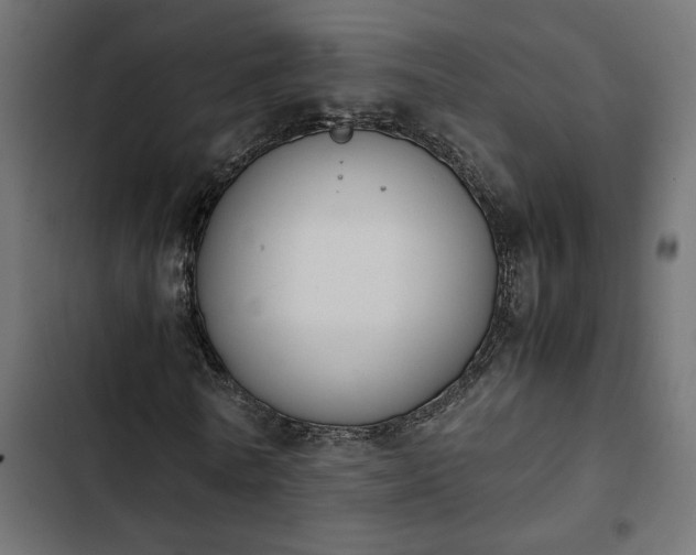 X0000103940770200809261724