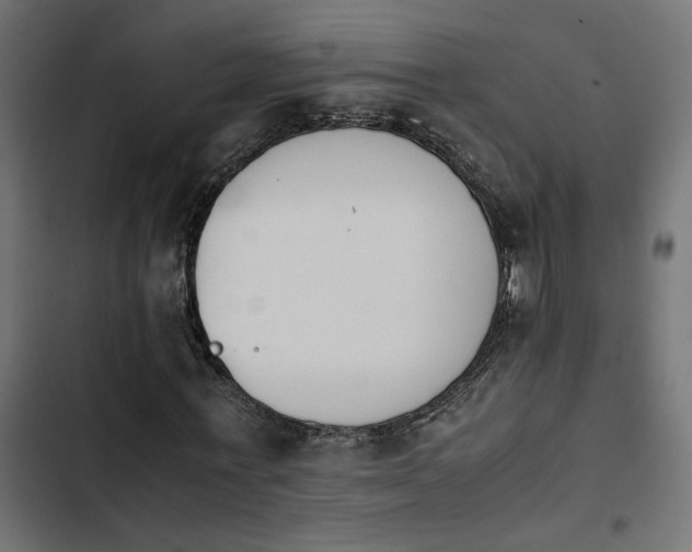 X0000103940771200809261724
