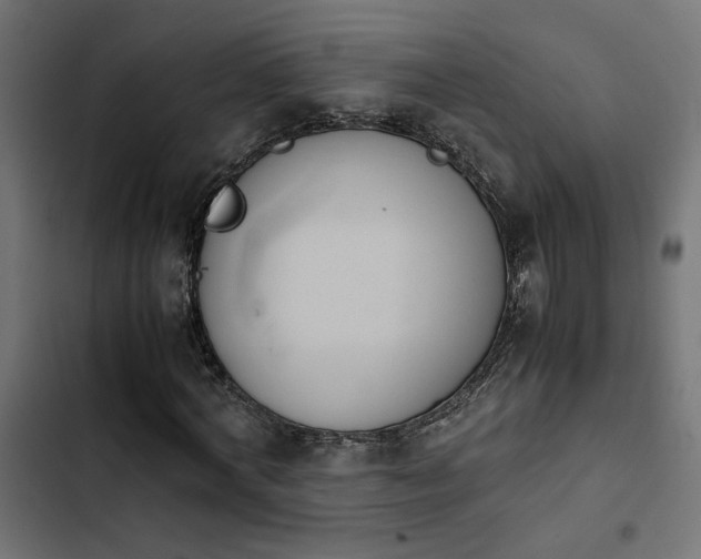 X0000103940772200809261724