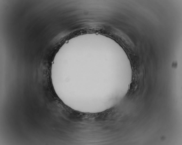 X0000103940773200809261724