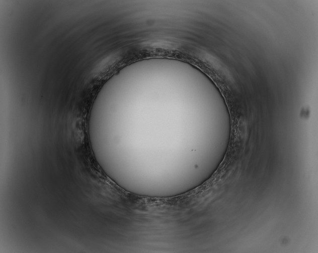 X0000103940774200809261724
