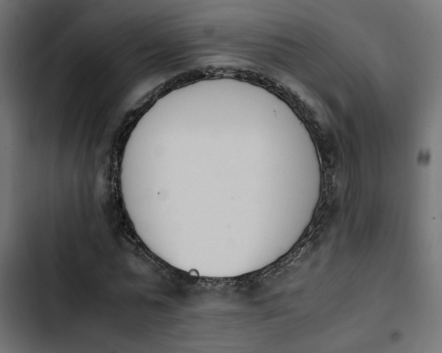 X0000103940775200809261724