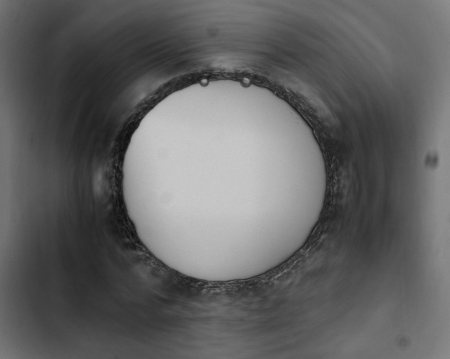 X0000103940776200809261724
