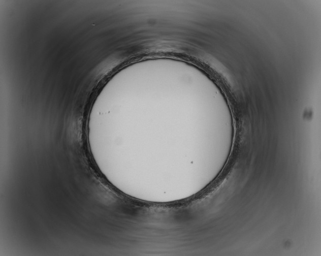 X0000103940777200809261724