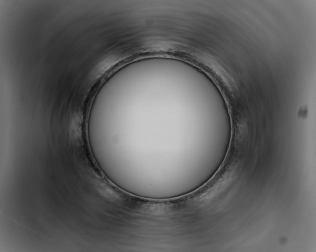 X0000103940778200809261724
