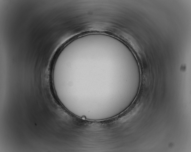 X0000103940779200809261724