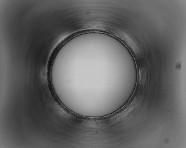 X0000103940780200809261724