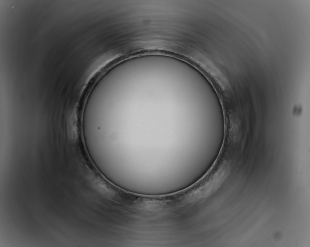 X0000103940782200809261724