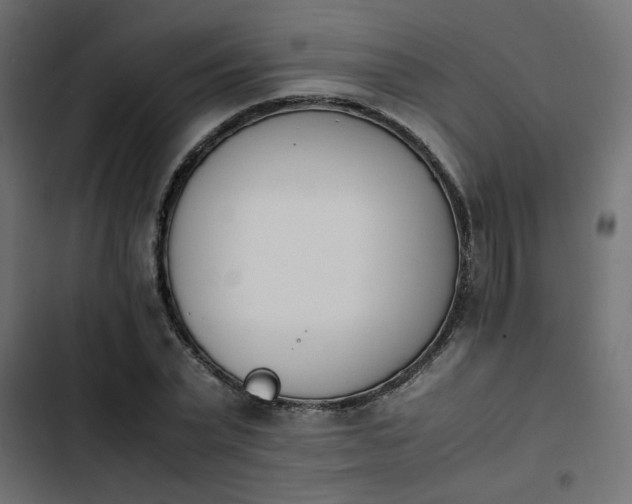 X0000103940783200809261724