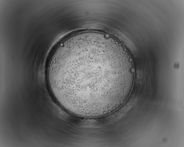 X0000103940784200809261724