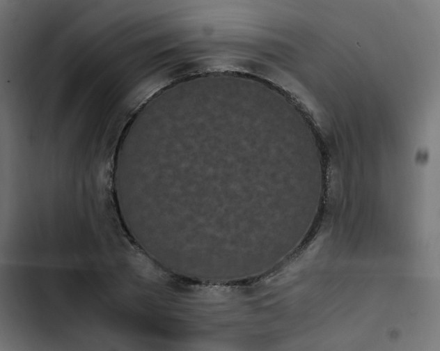 X0000103940785200809261724