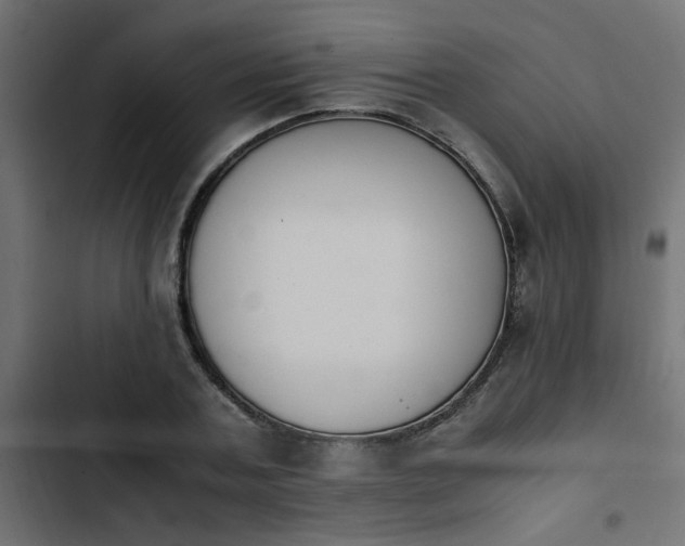 X0000103940787200809261724