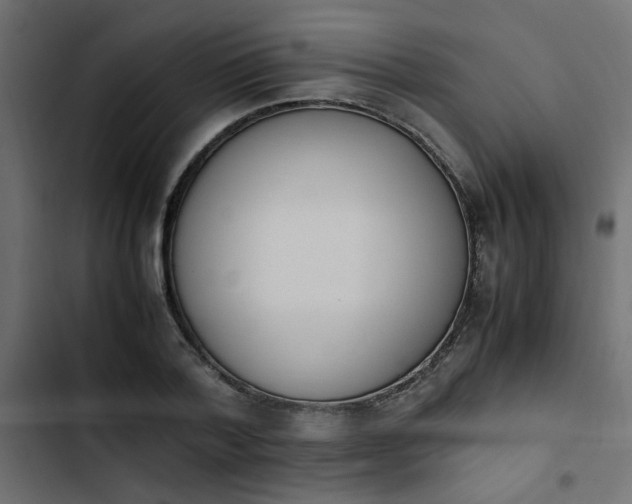 X0000103940788200809261724