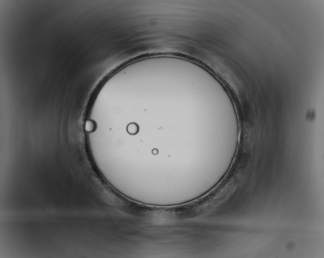 X0000103940789200809261724