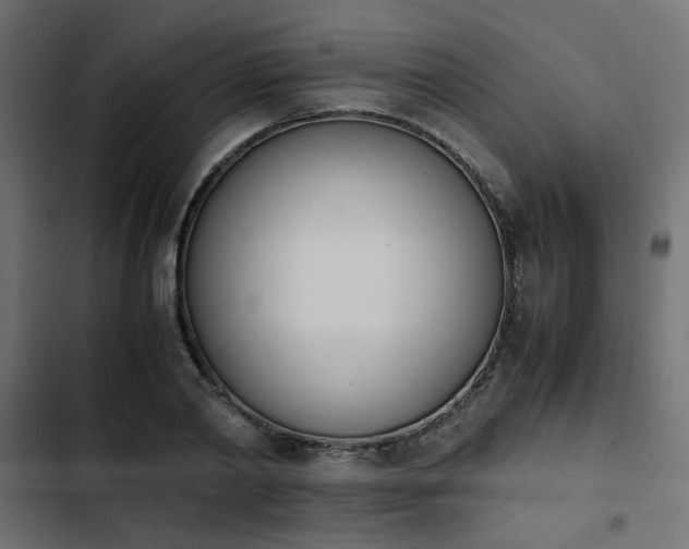 X0000103940790200809261724
