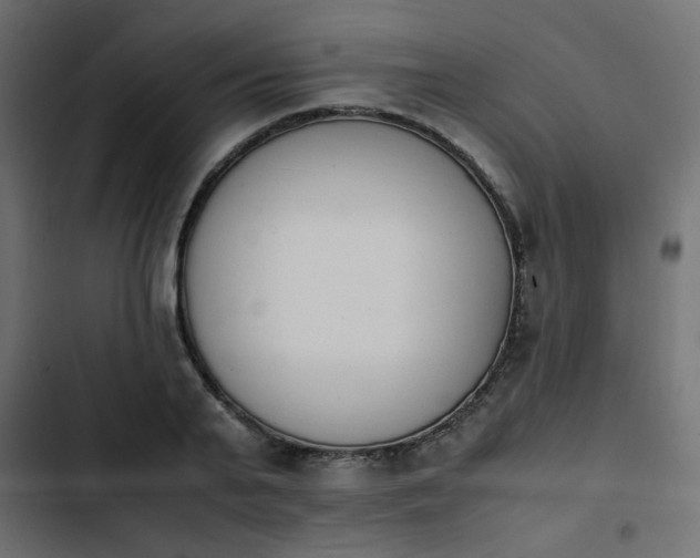 X0000103940791200809261724