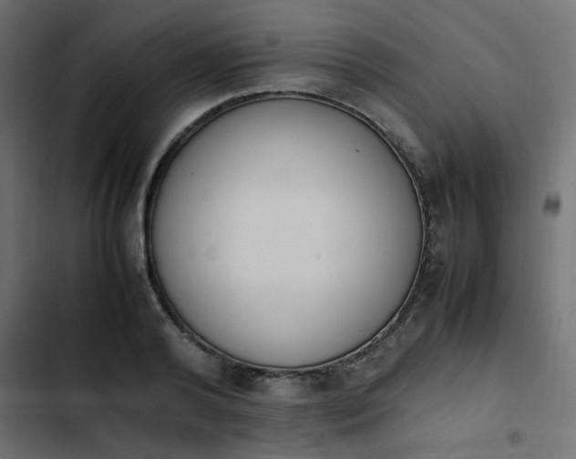 X0000103940792200809261724