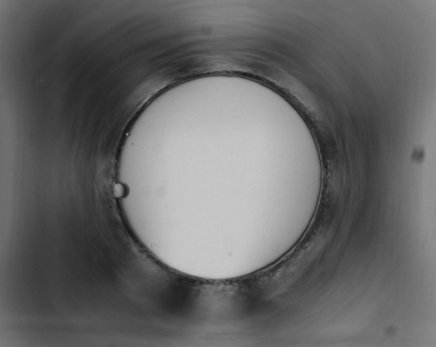 X0000103940793200809261724
