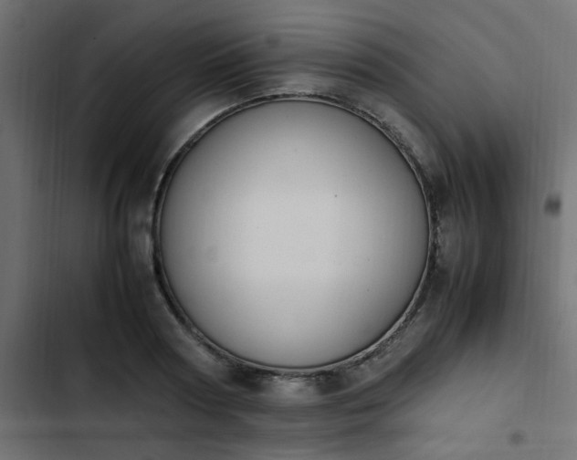 X0000103940794200809261724