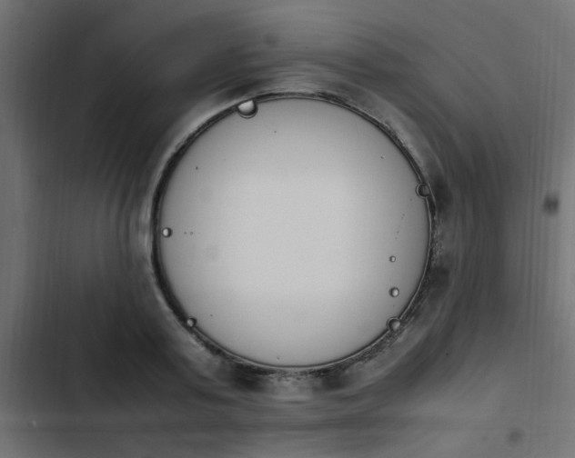 X0000103940795200809261724