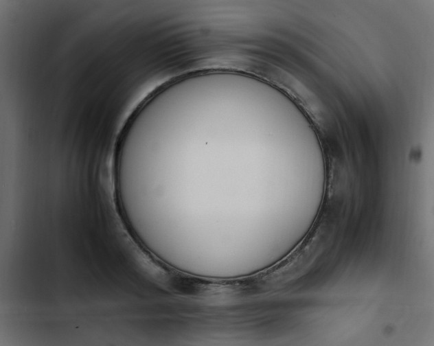 X0000103940796200809261724