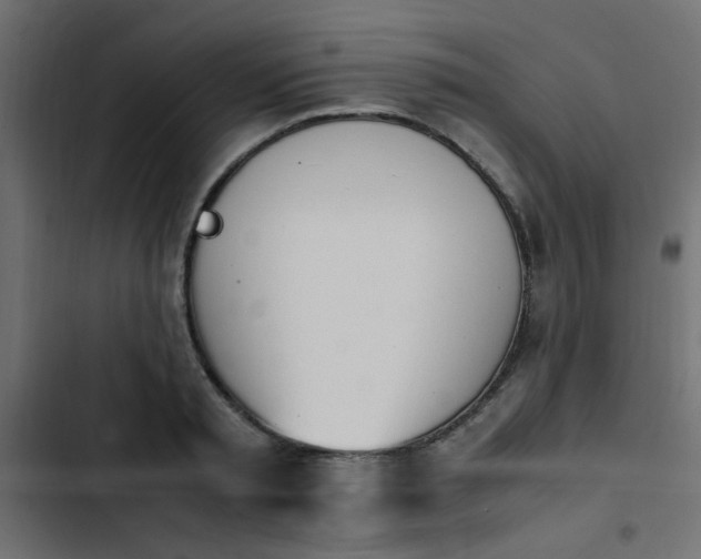 X0000103940797200809261724