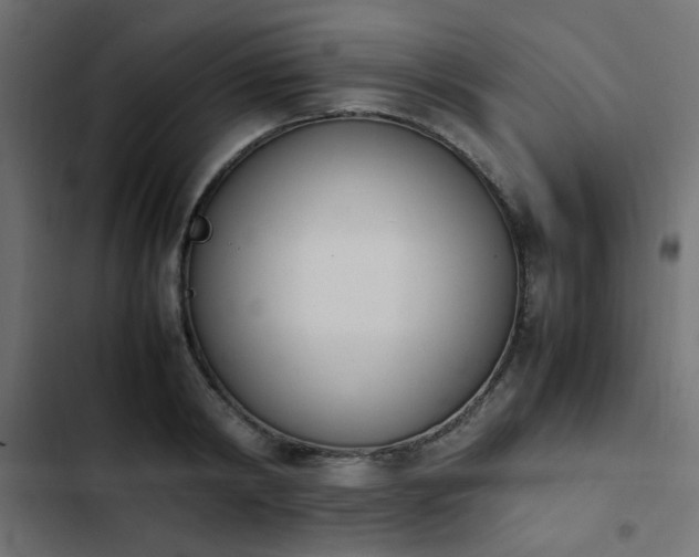 X0000103940798200809261724