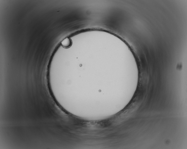X0000103940799200809261724