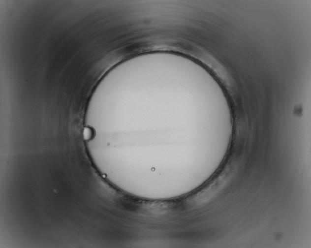 X0000103940801200809261724