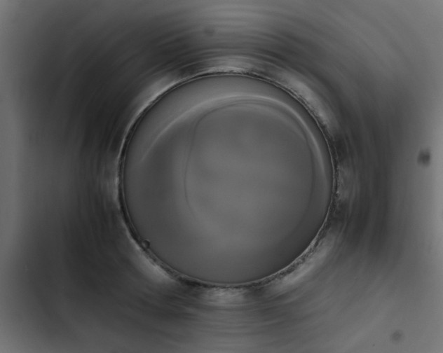X0000103940802200809261724