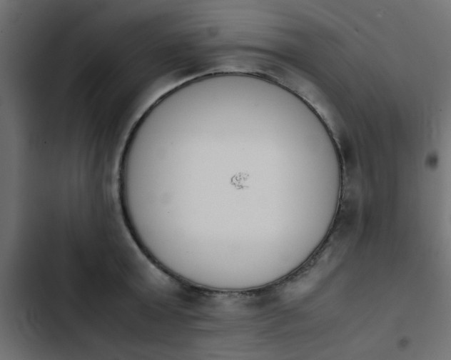 X0000103940803200809261724