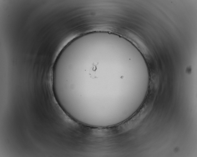 X0000103940804200809261724