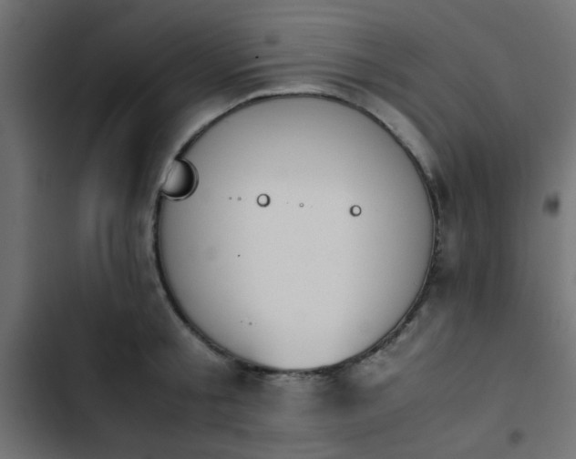 X0000103940805200809261724